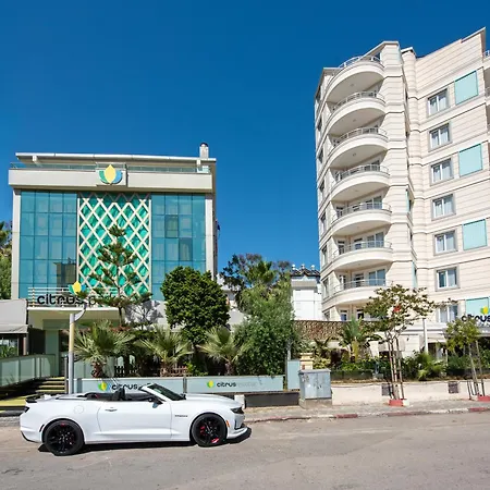 Citrus Park 4*