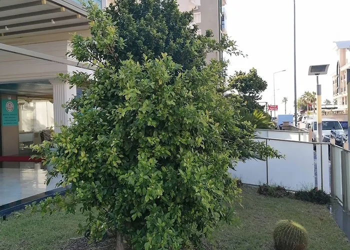 Citrus Park Отель 4*