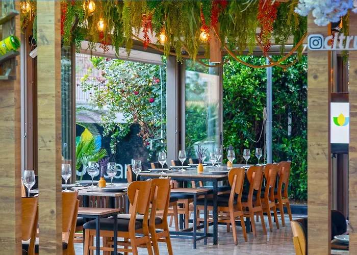 Отель Citrus Park