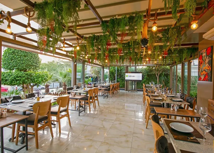 Отель Citrus Park 4*