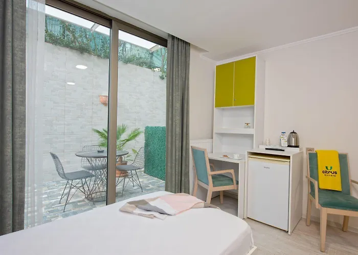 Citrus Park Отель