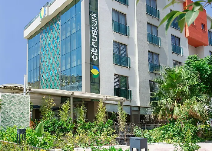 Отель Citrus Park