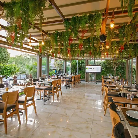 Ξενοδοχείο Citrus Park 4*